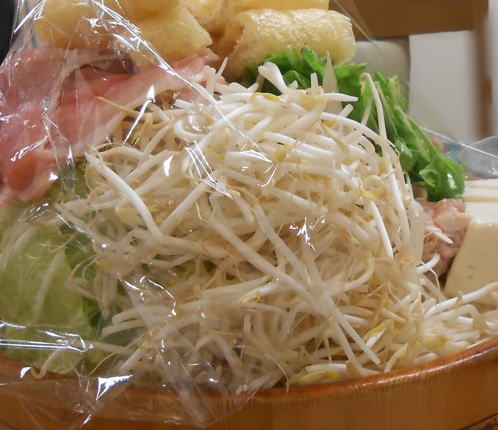 japanese-food-moyashi