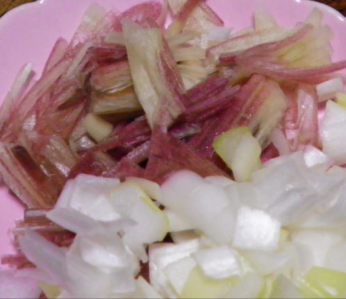 japanese-food-myoga-condiment