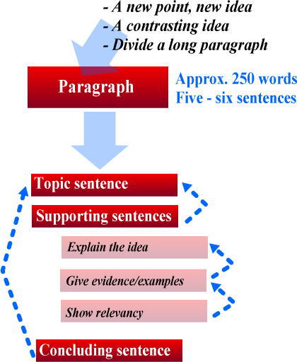 英語のパラグラフ構造