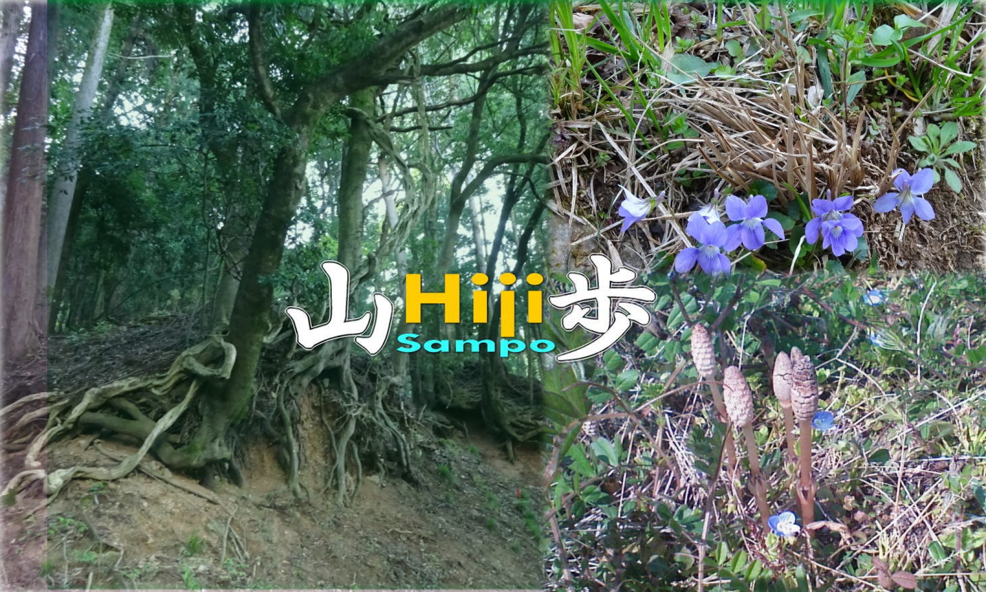 Hiji山歩（ひじさんぽ）